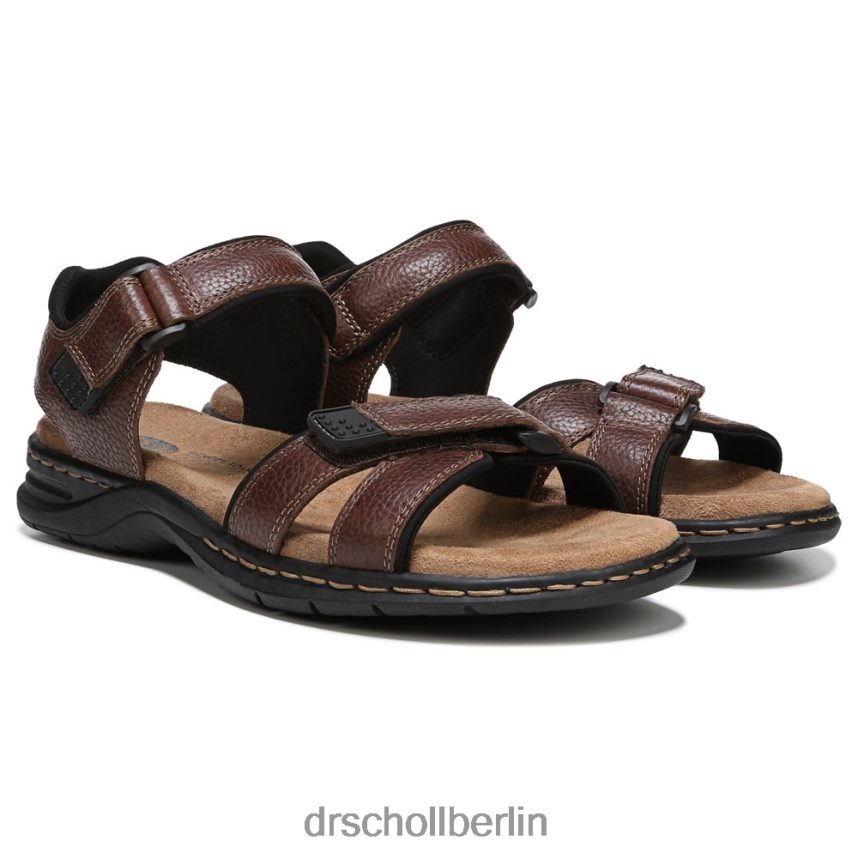 Dornbusch braun Gus-Sandale RXP6XD302 Dr. Scholl's unisex