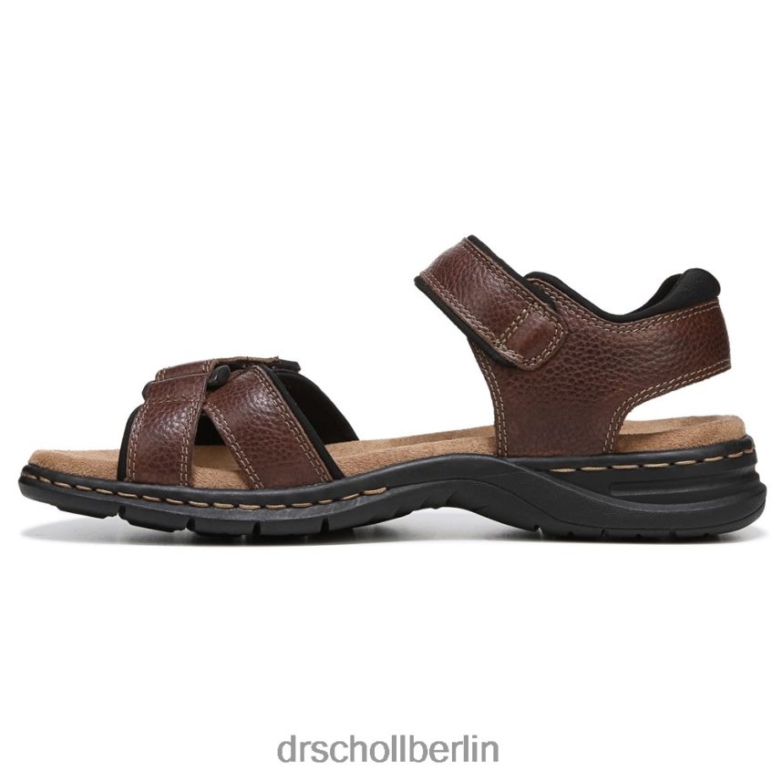 Dornbusch braun Gus-Sandale RXP6XD302 Dr. Scholl's unisex